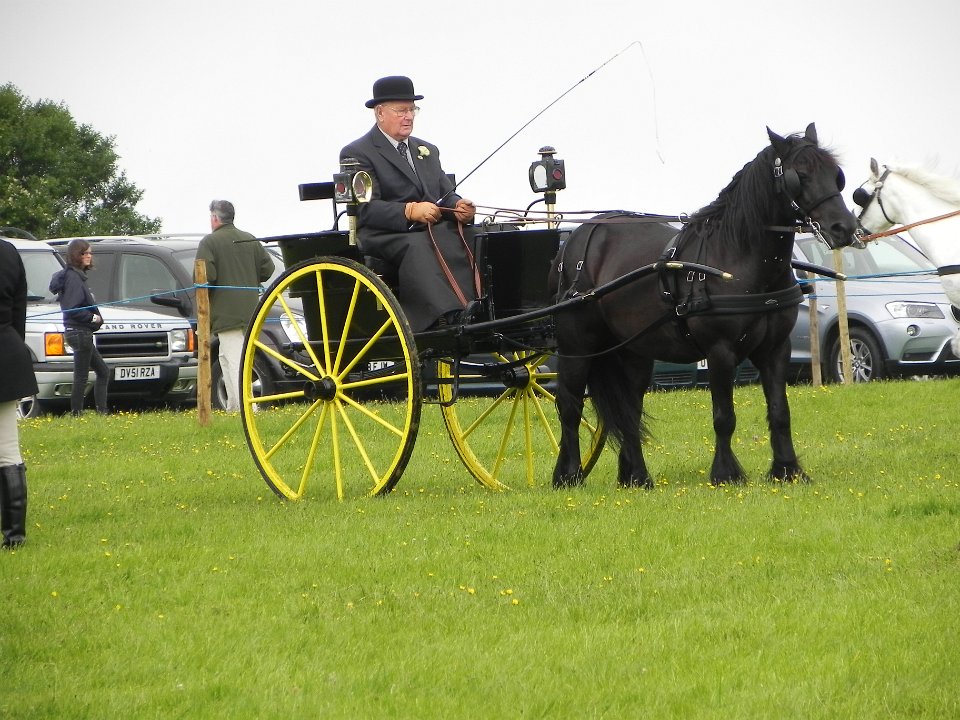 Camelford Show 2013