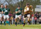 Cornwall-17 : 2013, Cornwal, Hertfordshire, RFU