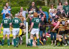 Cornwall-42 : 2013, Cornwal, Hertfordshire, RFU