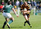 Cornwall v Hertfordshire 180513 : 18/05/13, County Championship, Hertfordshire, Bill Beaumont Cup, South, CRFU, Camborne Recreation Ground, Rugby Union, Cornwall, England