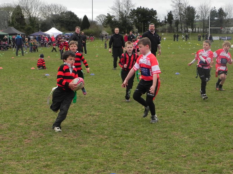 CRFU Mini - Junior Rugby Festival 2013